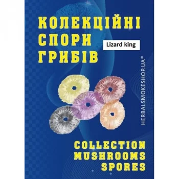 Psilocybe Cubensis spore Lizard King